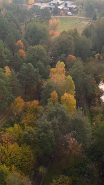 One Health w jesiennych barwach… Zapraszamy 🤝.
.
.
.
.
.
#onehealth #onehealthpolska #pozdrowie #kowanówko #health #zdrowie #cisza #eko #jesień #autum #leaf #zapraszamy