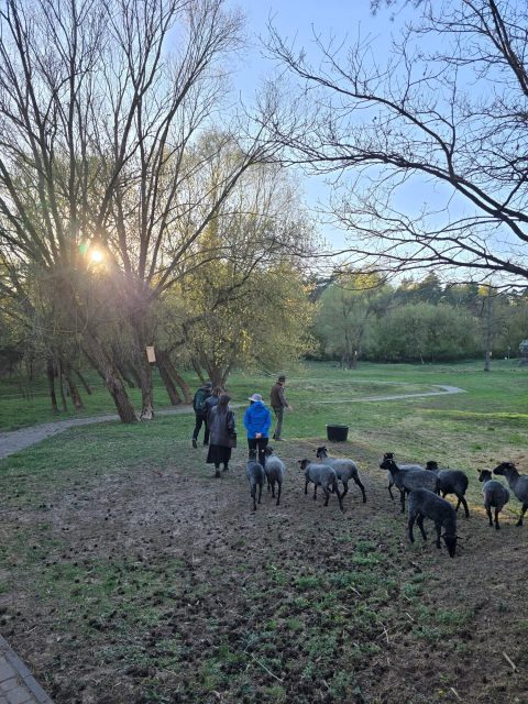 Spacer w przeddzień Dnia Ziemi zapoczątkował inny wymiar terapeutyczny spacerów 🌿🍃🌳🌱  Dlaczego? Dołączyło do nas słońce, ciepło, lekki wiatr, wiosenna aura, rytuał parzenia herbaty ze świeżej pokrzywy zebranej na pastwisku sprawiły, że i owcom udzieliła sie wiosenna aura. W podskokach, biegach i ich magicznym, stadnym zachowaniu, które niezmiennie jest dla nas inspiracją.  Duzo rozmów, wymiany zdań, także o naszym kontakcie z naturą, o owcach, pastwiskach, bioróżnorodności.  Relacje z tego spaceru, ale także nasze przemyślenia odnośnie spacerów, które już odbyliśmy znajdziecie na https://wiadomosci.radiozet.pl/polska/pierwszy-taki-projekt-w-polsce-zaskakujacy-sposob-na-walke-ze-stresem-poruszajace?fbclid=PAb21jcARWfP1leHRuA2FlbQIxMQBzcnRjBmFwcF9pZA81NjcwNjczNDMzNTI0MjcAAaco2PGuEBqVb2Sq4EpkFNi0rf20jZ0jVMtXuT62-2o1zXdIXZoOuOfbrPw8WQ_aem_8Cqv_0nCZUKcL_uk75DN2Q  #owce #wrzosowka #terapeutycznestado  #spaceryterapeutyczne #dzienziemi
@izpuls