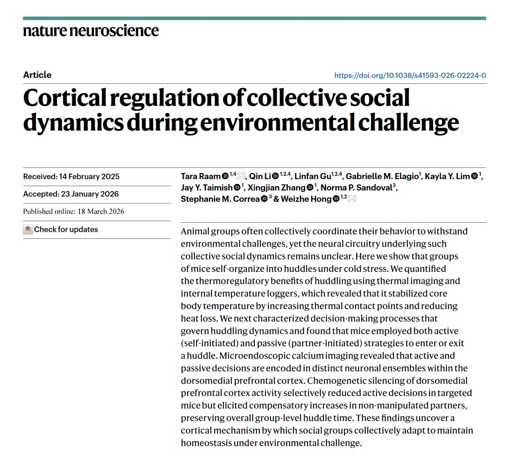 Zrzut ekranu 2026-03-25 o 19.37.07